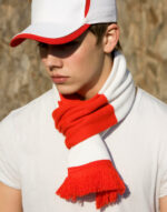 Team Scarf – Bild 2