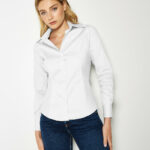 Women's Tailored Fit Premium Oxford Shirt