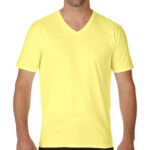 Premium Cotton Adult V-Neck T-Shirt