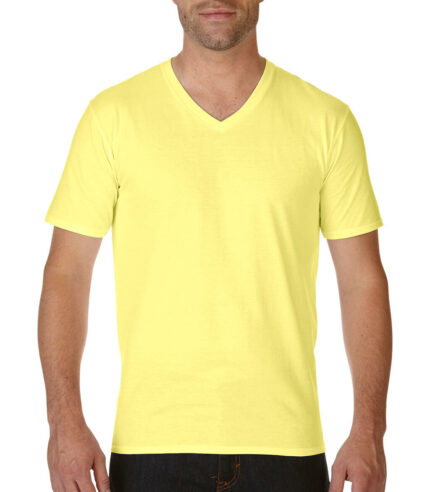 Premium Cotton Adult V-Neck T-Shirt