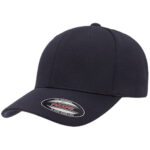 Cool and Dry Sport Cap