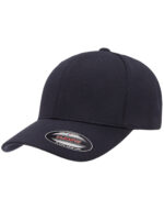 Cool and Dry Sport Cap