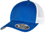 110 Mesh 2-Tone Cap