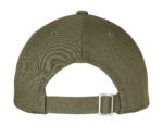 Ecowash Dad Cap – Image 5