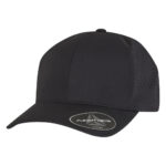 Flexfit Delta Snapback