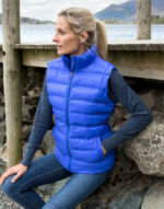 Ladies' Ice Bird Padded Gilet – Image 4