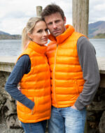 Ladies' Ice Bird Padded Gilet – Image 2