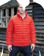 Ice Bird Padded Jacket – Image 4