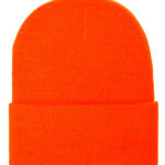 Beanie Classics Thinsulate Cuffed